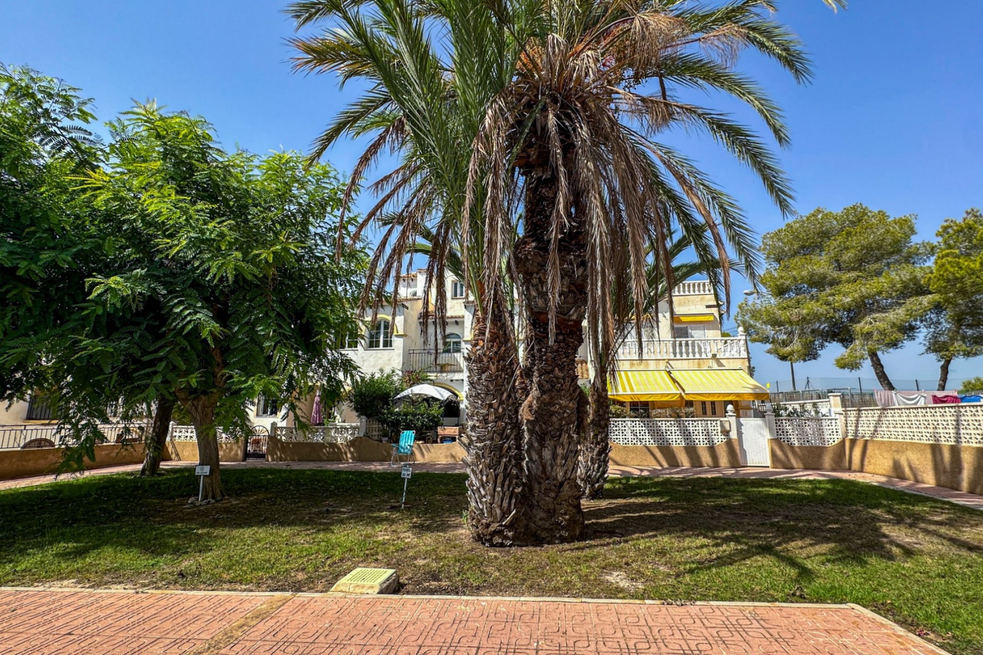 Resale - Bungalow -
San Miguel de Salinas - Bellavista