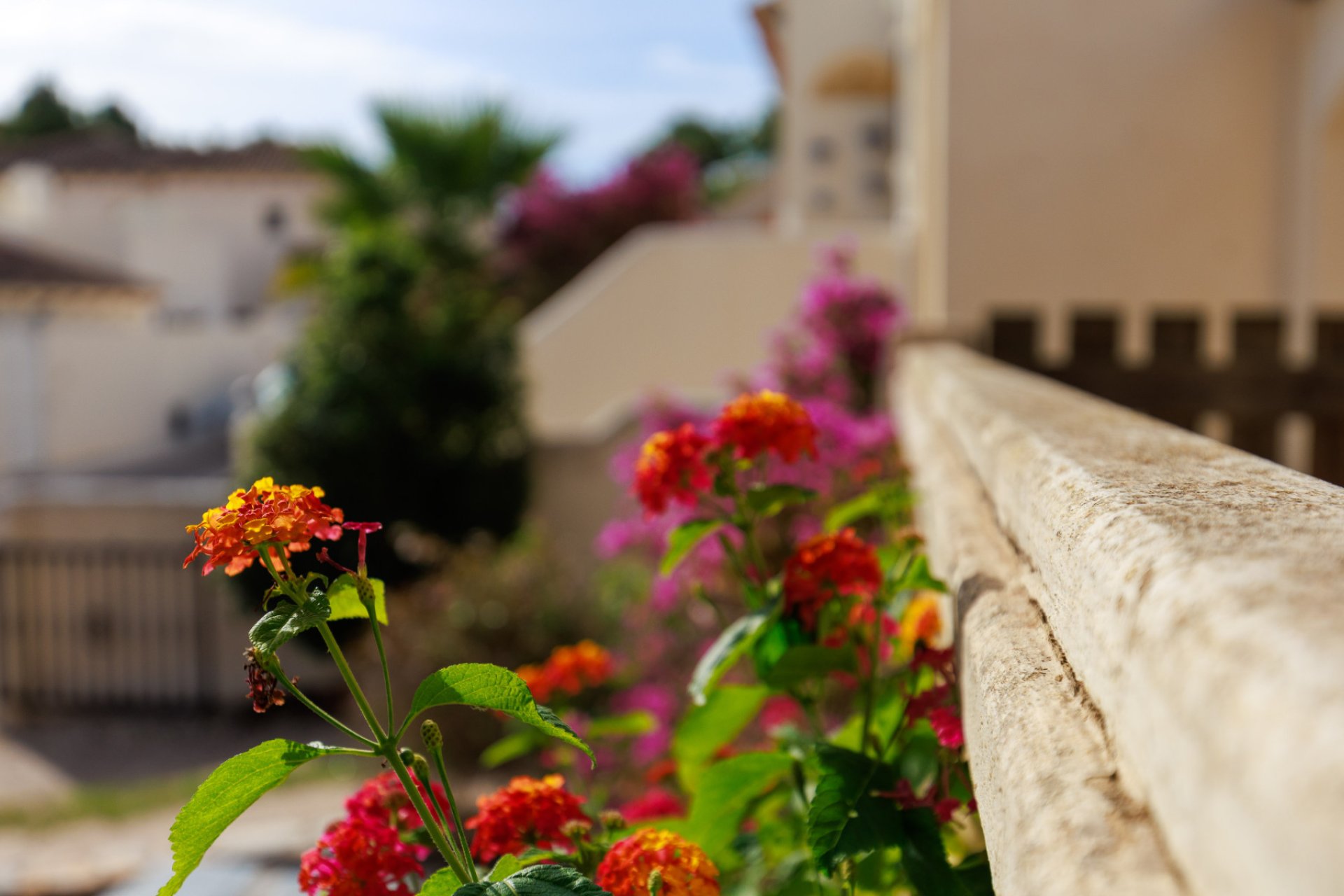 Resale - Semi - Detached Villa -
Las Ramblas