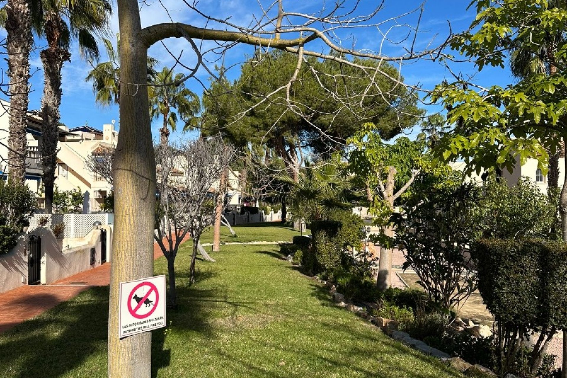 Resale - Townhouse -
Las Ramblas