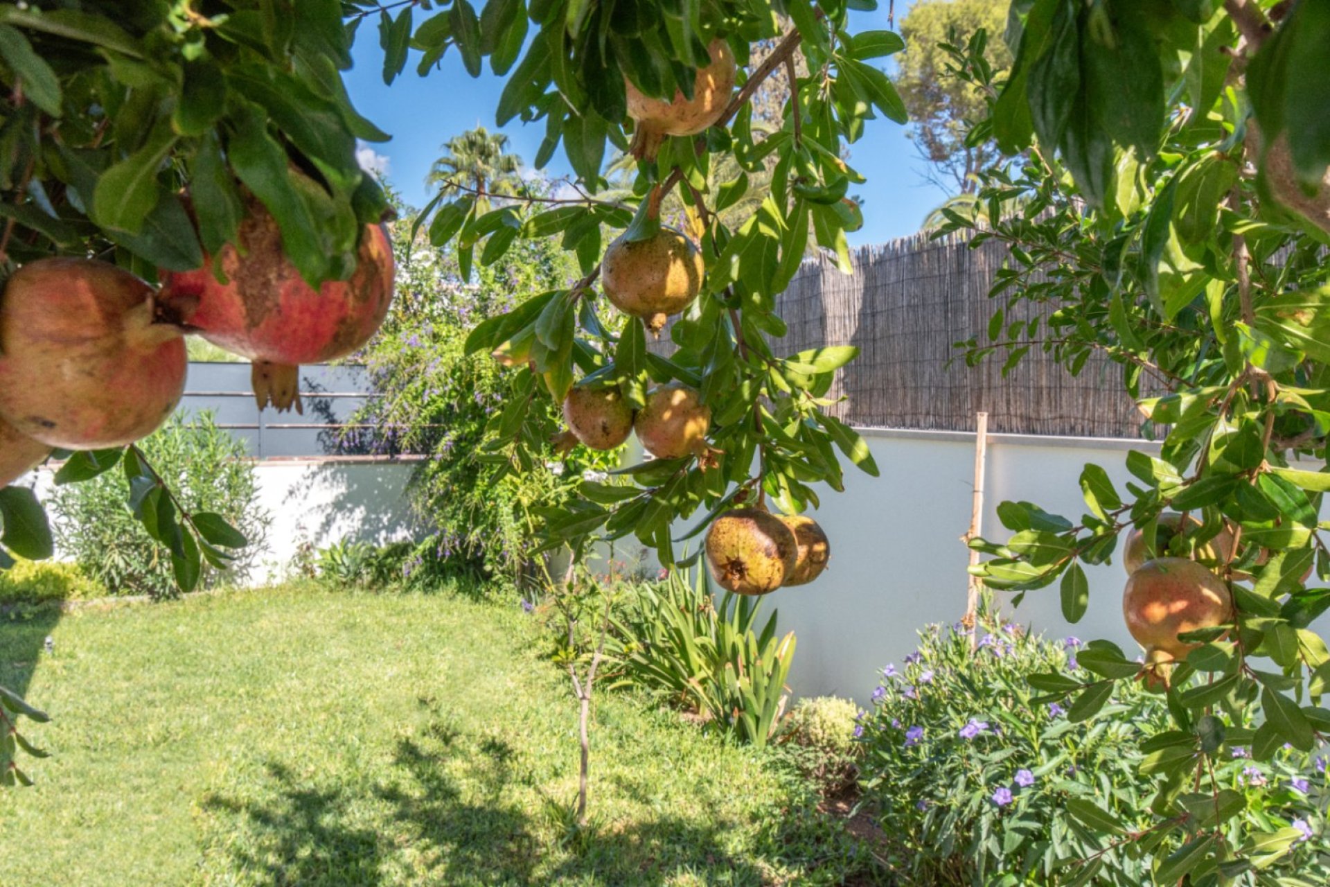 Resale - Villa -
Marrachí - Mallorca
