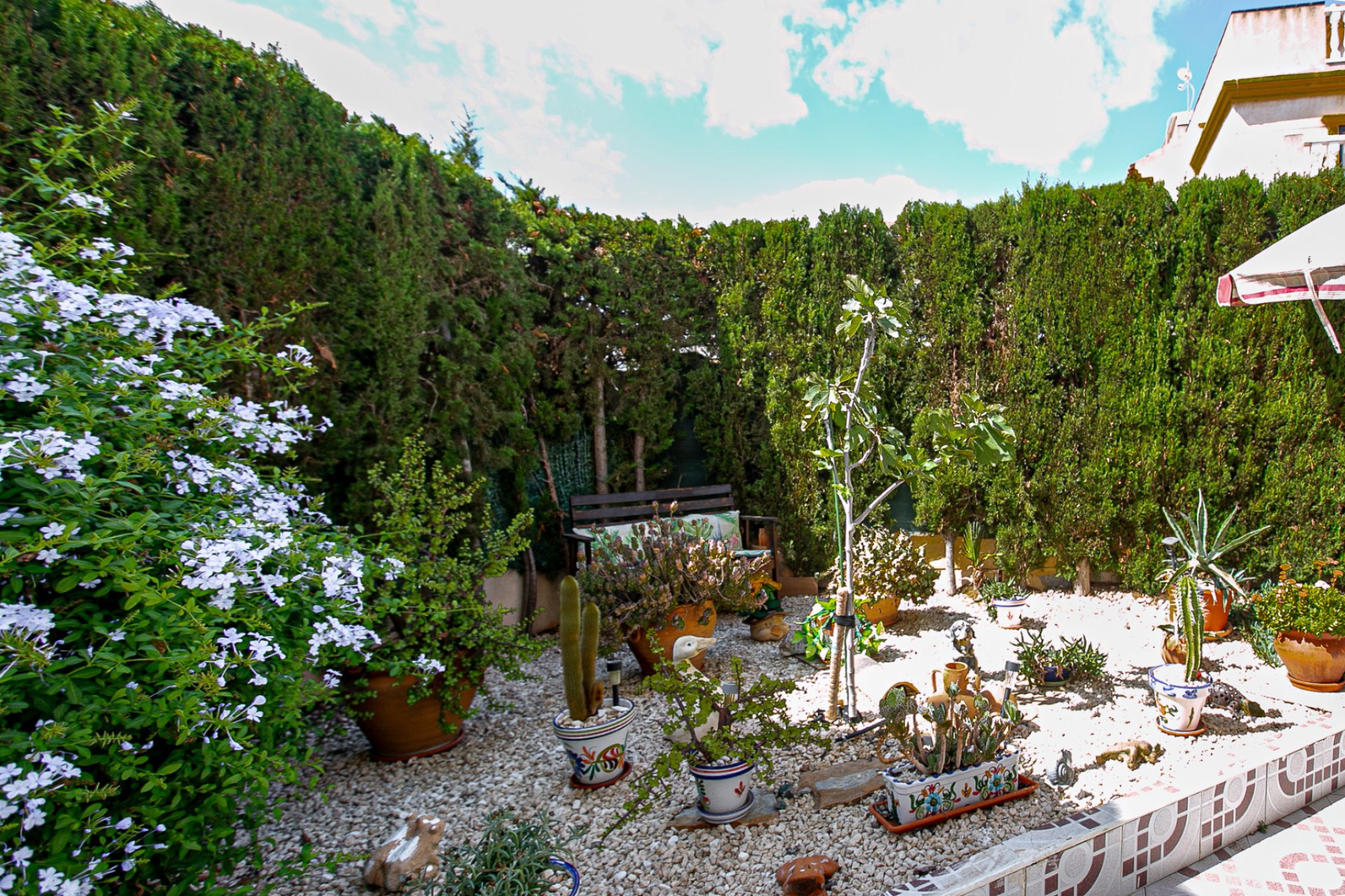 Revente - Appartement -
Playa Flamenca