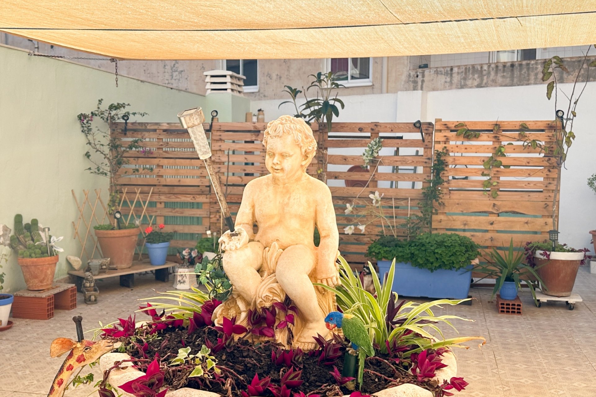 Revente - Appartement -
Torrevieja - Centro