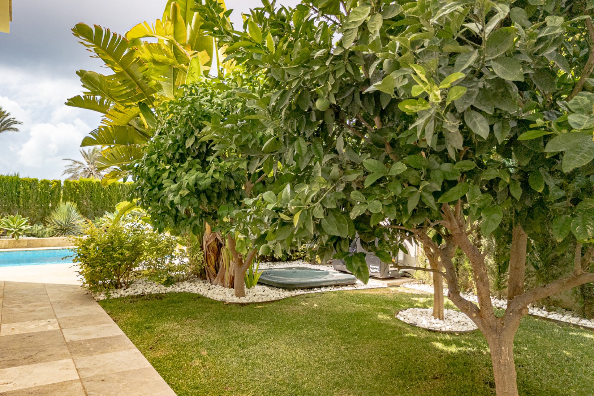 Revente - Villa -
La Zenia - Beachside