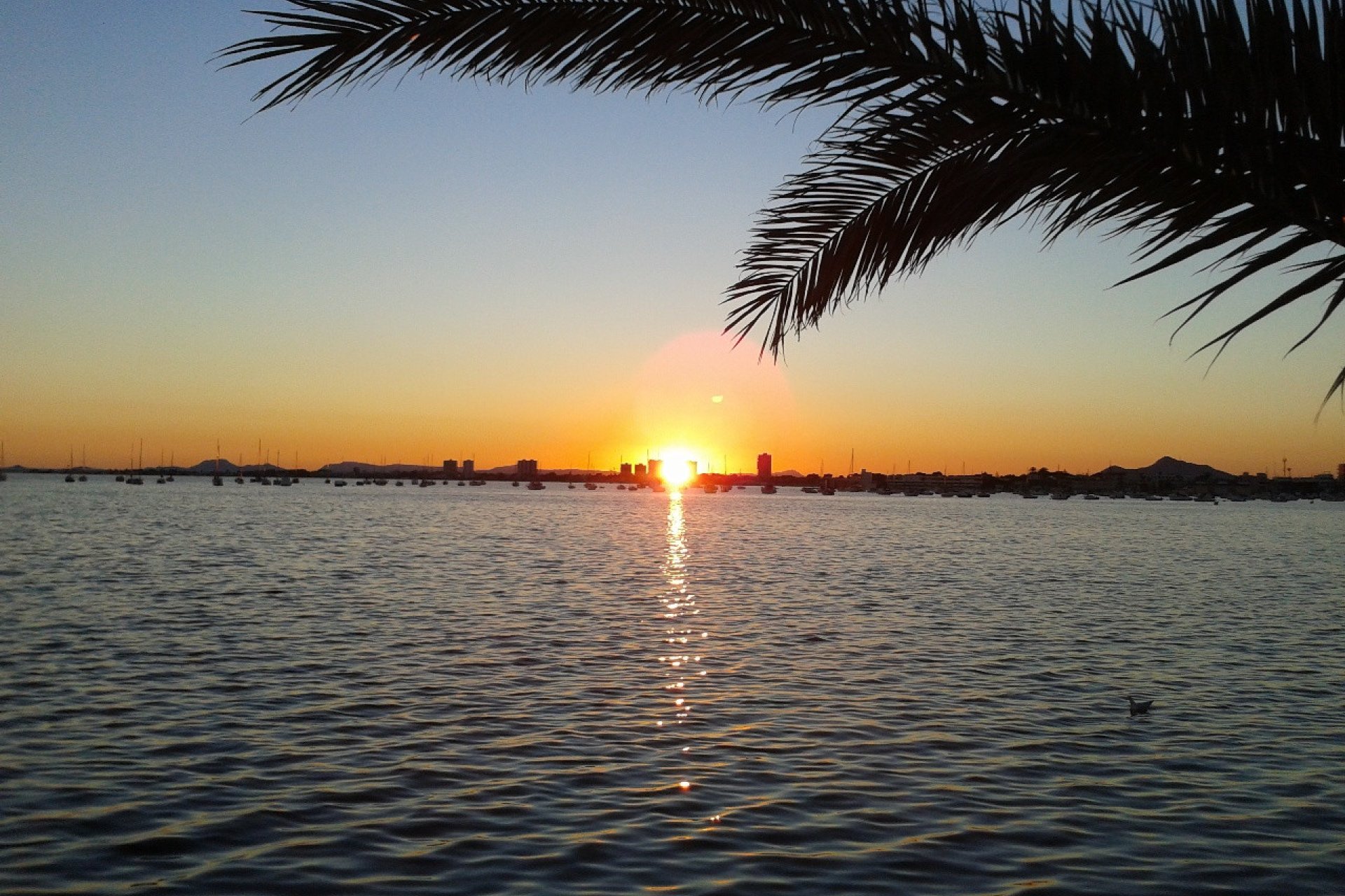 Revente - Villa -
Torre de la Horadada