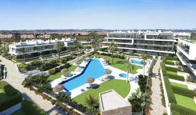 Takvåning - Nybyggnation - Torrevieja - Torrevieja