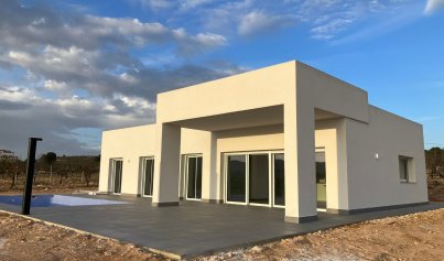 Villa - New Build - Pinoso -
                Pinoso