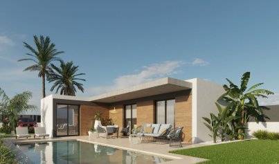 Villa - Nouvelle construction - Molina de Segura -
                Molina de Segura