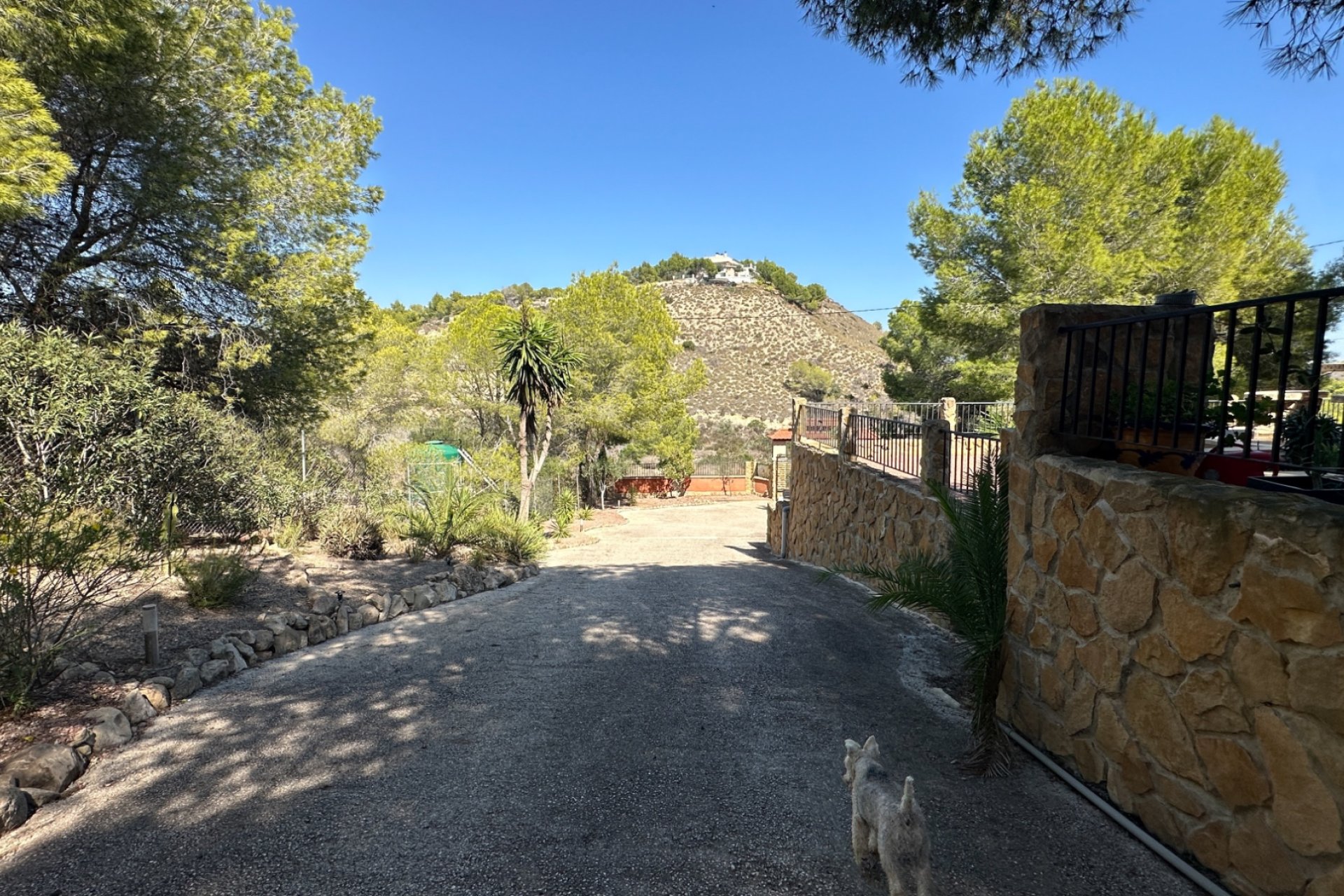 Wiederverkauf - Finca / Country House -
San Miguel de Salinas - Costa Blanca Sur