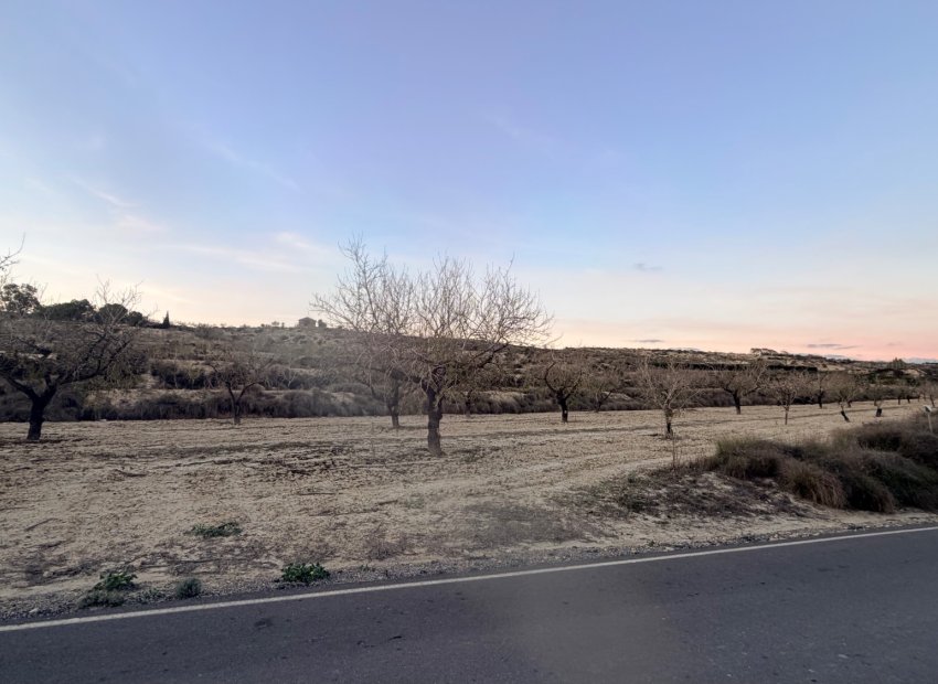 Wiederverkauf - Plot -
Torremendo - Costa Blanca