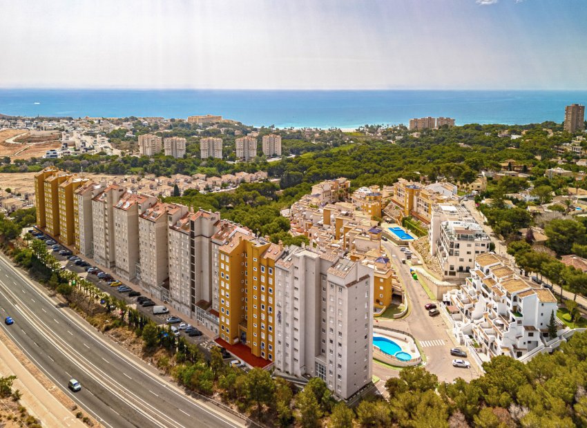 Wiederverkauf - Wohnung -
Campoamor - Dehesa de Campoamor