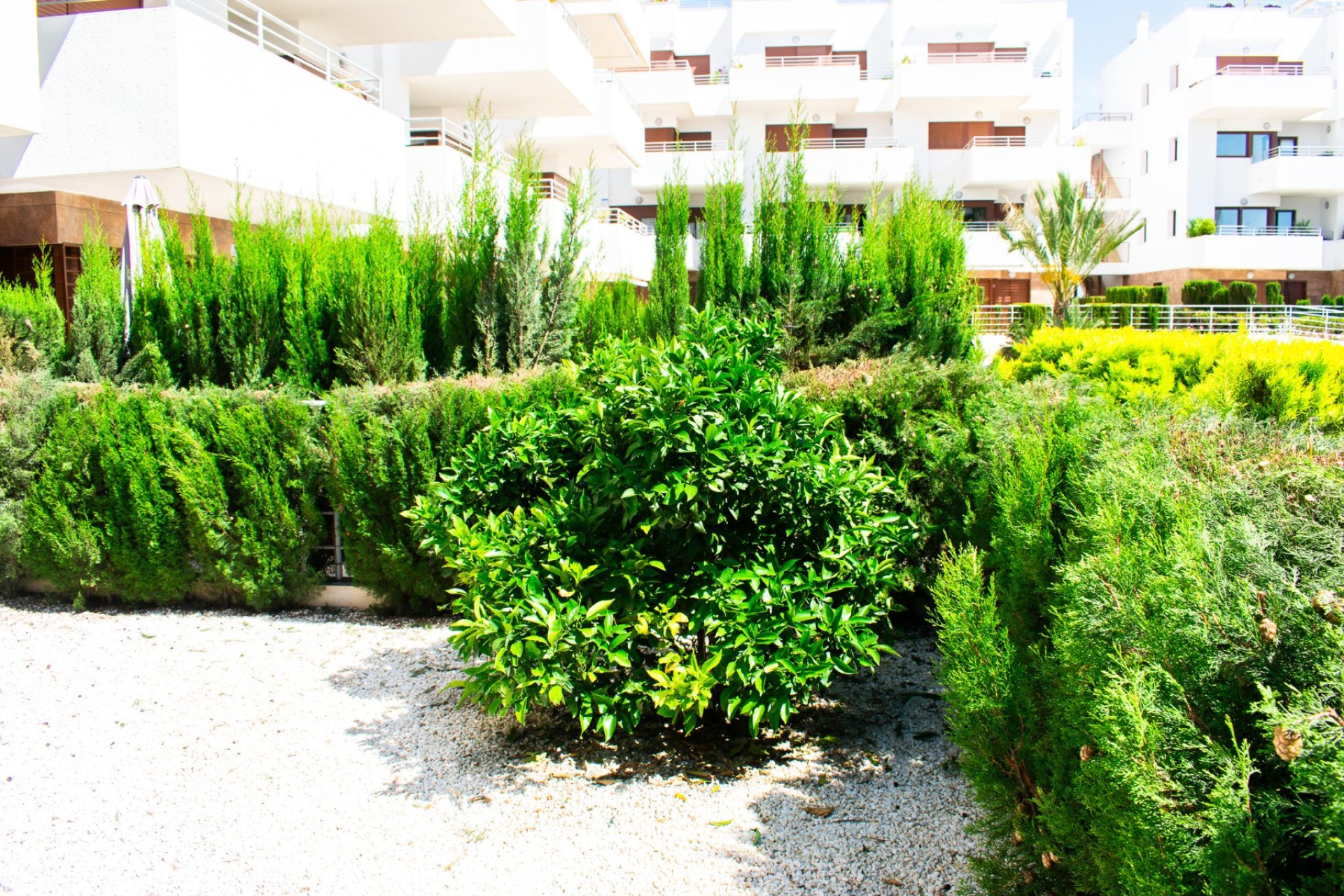 Wiederverkauf - Wohnung -
Orihuela Costa - Cabo Roig