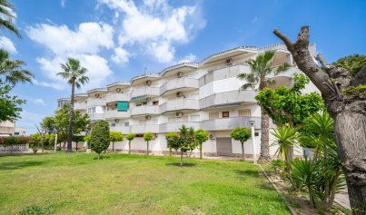Wohnung - Wiederverkauf - Orihuela Costa -
                Cabo Roig