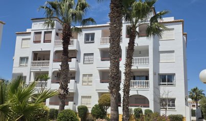 Wohnung - Wiederverkauf - Villamartín -
                PAU 8