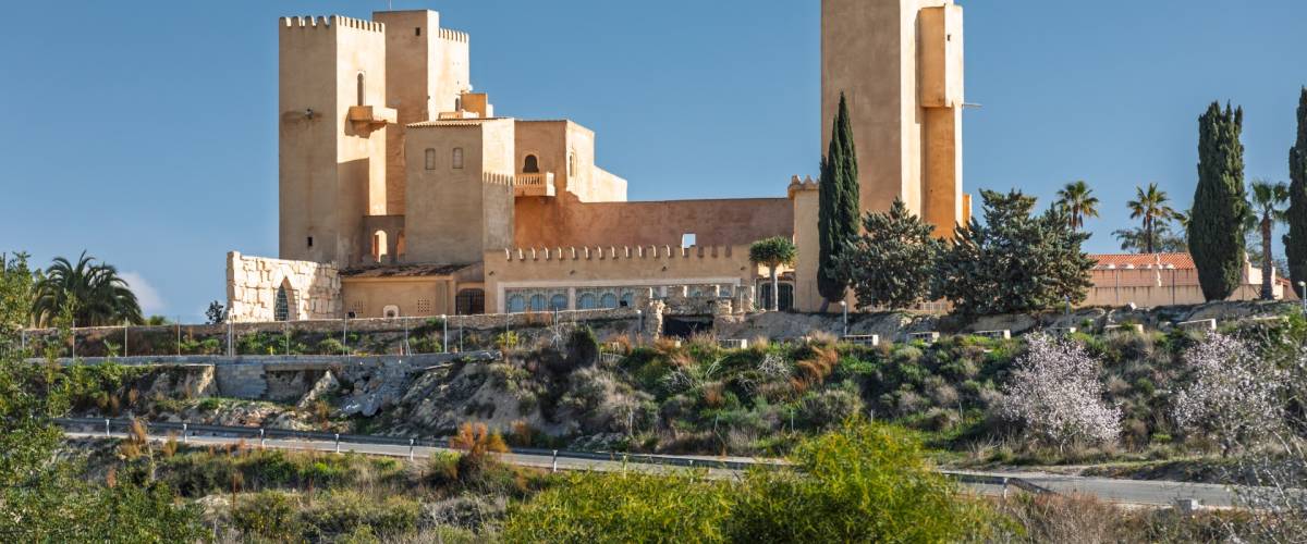 San Miguel de Salinas