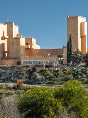 San Miguel de Salinas