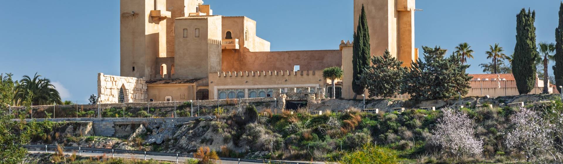 San Miguel de Salinas