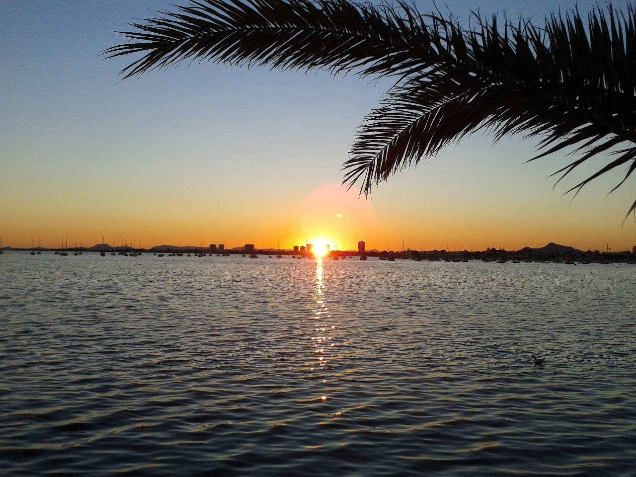 villas en torre-de-la-horadada · torre-de-la-horadada 272000€