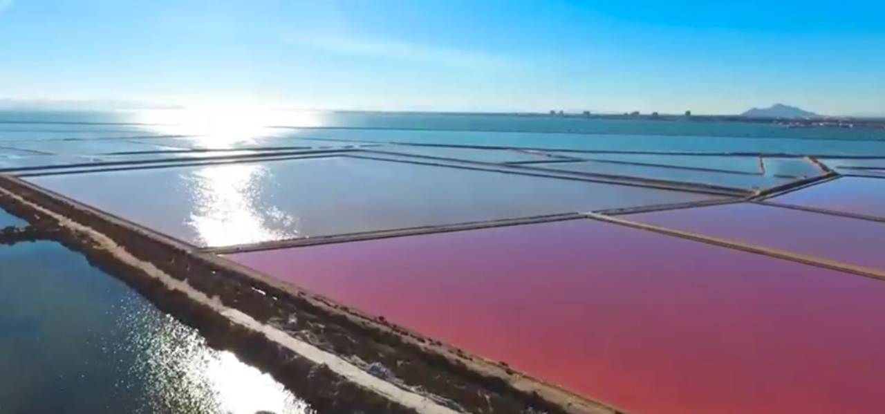 villas en torre-de-la-horadada · torre-de-la-horadada 272000€