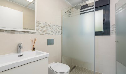 Nouvelle construction - Villa -
Playa Paraiso