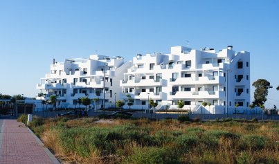 Nouvelle construction - Appartement -
Torre Pacheco - Torre-Pacheco