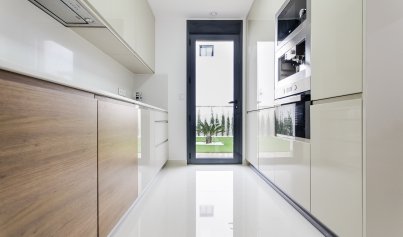 Nouvelle construction - Villa -
San Miguel de Salinas