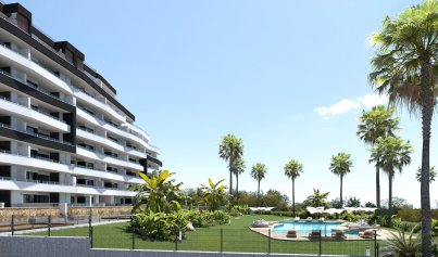 Nybyggnation - Lägenhet -
San Miguel de Salinas