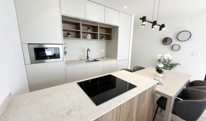 Nybyggnation - Villa -
Torre de la Horadada