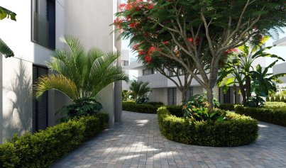 New Build - Penthouse -
Torre Pacheco - Torre-Pacheco