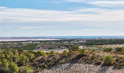 Nybyggnation - Villa -
San Miguel de Salinas