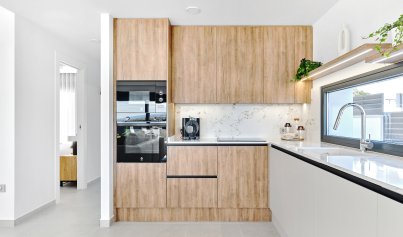 Nybyggnation - Villa -
San Miguel de Salinas