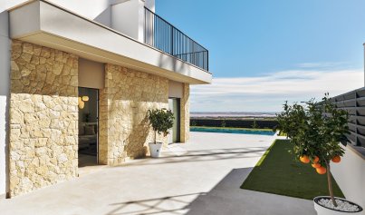 Nouvelle construction - Villa -
San Miguel de Salinas