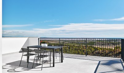 Nouvelle construction - Villa -
San Miguel de Salinas