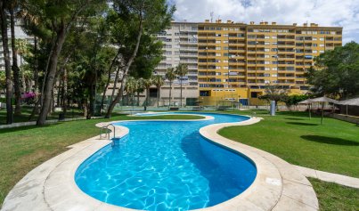 Resale - Apartment -
Campoamor - Campoamor beach
