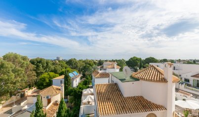 Resale - Apartment -
La Zenia - Beachside