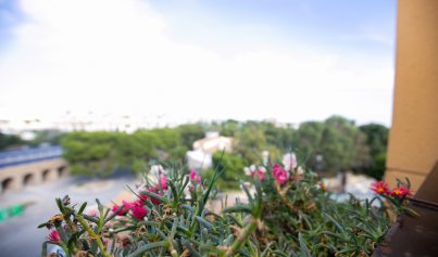 Resale - Apartment -
La Zenia - Beachside