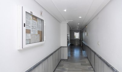 Resale - Apartment -
La Zenia - Beachside