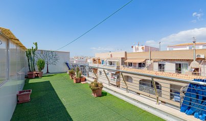 Revente - Attique -
Torrevieja - Playa de los Locos