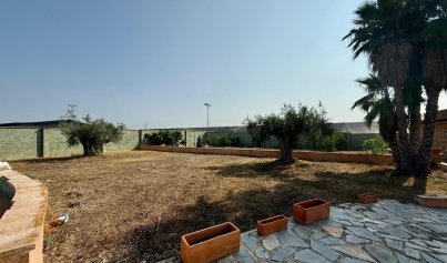 Resale - Villa -
San Miguel de Salinas