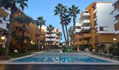 Revente - Appartement -
Punta Prima