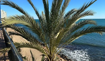 Revente - Appartement -
Punta Prima