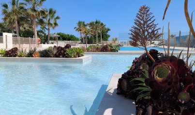 Nieuwbouw Woningen - Appartement / flat -
Denia - Dénia