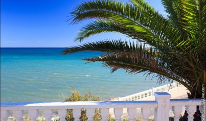 Resale - Villa -
Torre de la Horadada