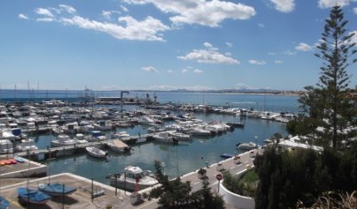 Resale - Villa -
Torre de la Horadada