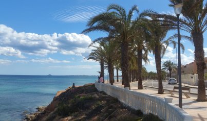 Resale - Villa -
Torre de la Horadada