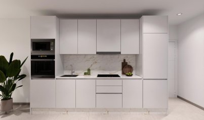 Nouvelle construction - Attique -
Torrevieja