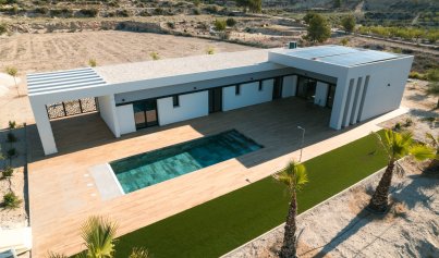 Neue Gebäude - Villa -
Pinoso