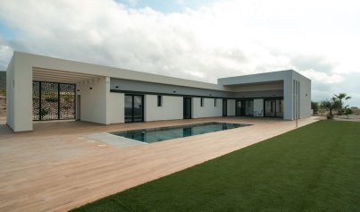 Neue Gebäude - Villa -
Pinoso