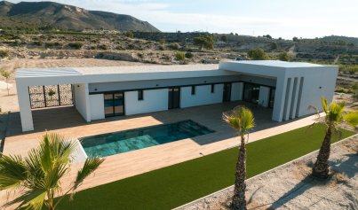 Neue Gebäude - Villa -
Pinoso