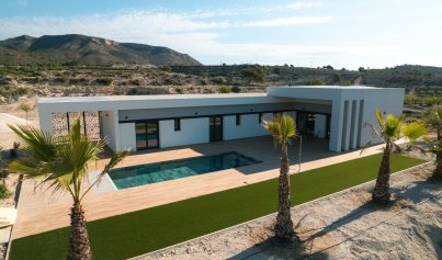 Neue Gebäude - Villa -
Pinoso