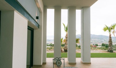 Neue Gebäude - Villa -
Pinoso